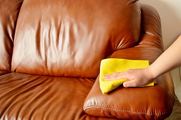 Couch Upholstery Cleaning Riverside